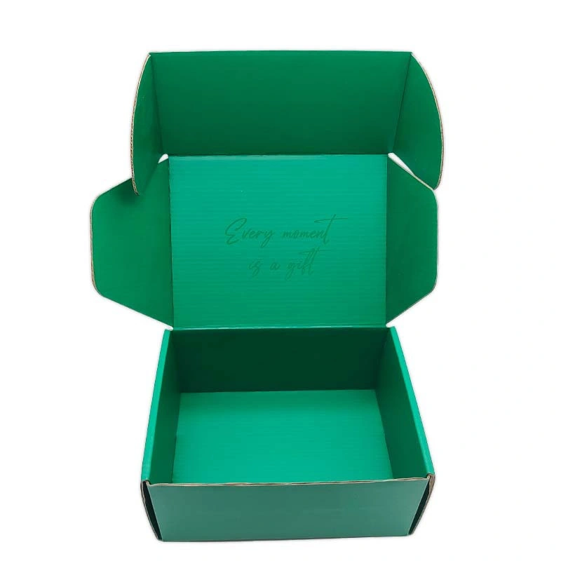 Ribbon Handle Garments and Shoe Packaging Box, Corrugated Paper Cardboard Carton Box